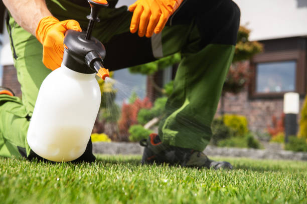 Best Mosquito Control Services  in Simpsonville, SC