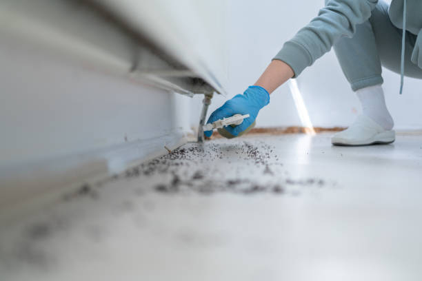 Best Residential Pest Control  in Simpsonville, SC